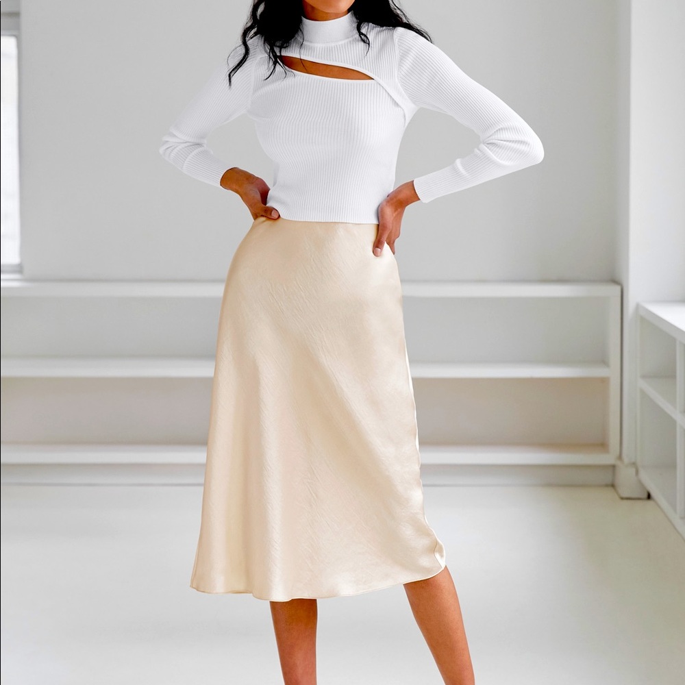 NWOT Aritzia Babaton Slip Skirt